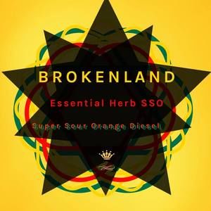 Meet your Posher, Jamal